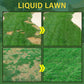 🌱Green grass and damage to protect lawn spray