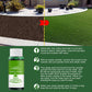 🌱Green grass and damage to protect lawn spray