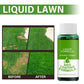 🌱Green grass and damage to protect lawn spray