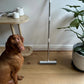 Rubber Bristle Broom for Pet Hair Removal