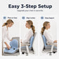 🪑🔧 2026 NEW: 50% OFF – Ergonomic Lumbar Cushion – Memory Foam – Spine Alignment – Pressure Relief – Skin-friendly Milk Silk – Universal – For Office, Car & Home 🛋️✨💪