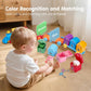 2-in-1 Learning Train Toy Set